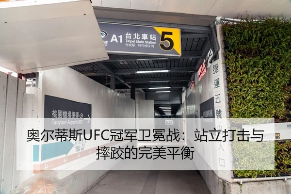 奥尔蒂斯UFC冠军卫冕战：站立打击与摔跤的完美平衡