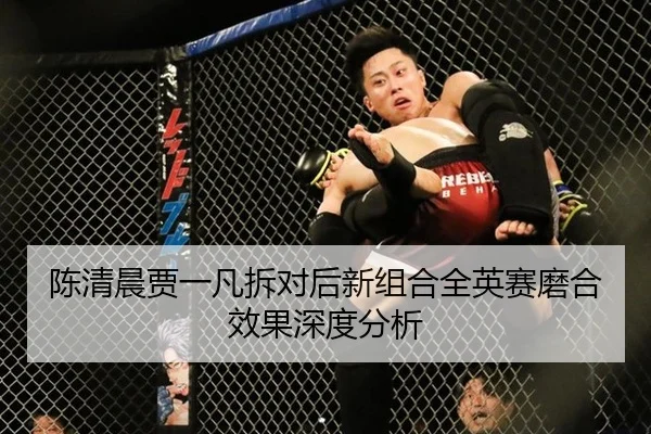 chen-qing-chen-jia-yi-fan-chai-dui-hou-xin-zu-he-quan-ying-sai-mo-he-xiao-guo-shen-du-fen-xi-3-543.jpg